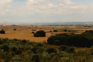 Vast rural landscape with fields and distant city skyline under a cloudy sky.